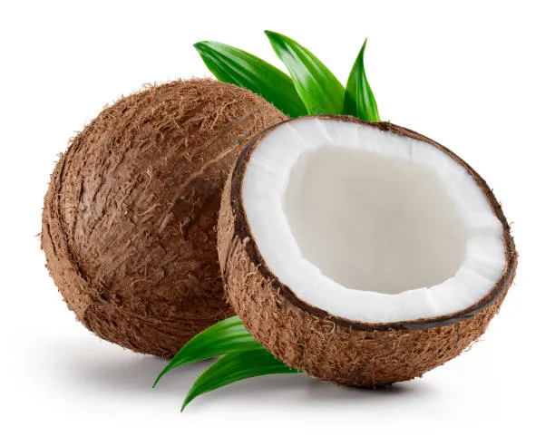 Coconut Meat