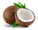 Coconut Meat
